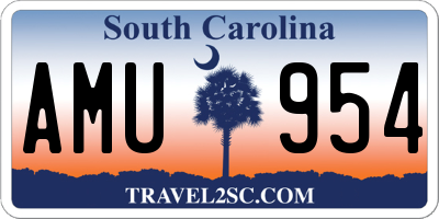 SC license plate AMU954