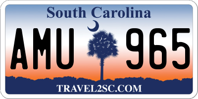 SC license plate AMU965