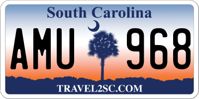 SC license plate AMU968