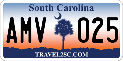 SC license plate AMV025