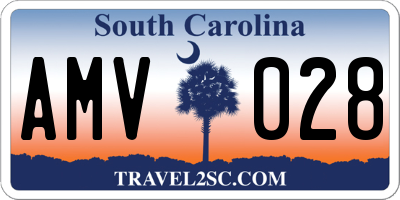 SC license plate AMV028