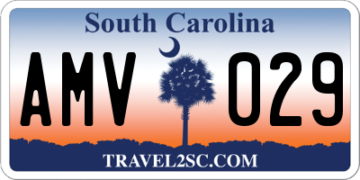 SC license plate AMV029