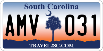 SC license plate AMV031