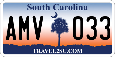 SC license plate AMV033