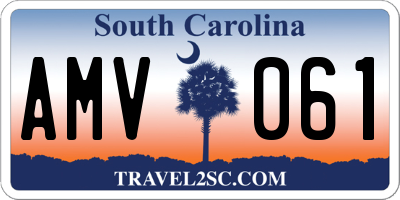 SC license plate AMV061