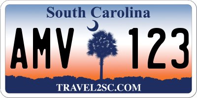 SC license plate AMV123