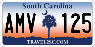 SC license plate AMV125