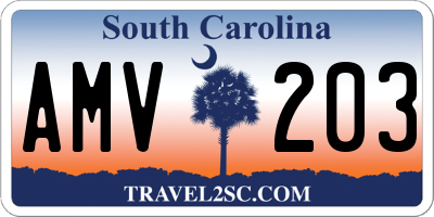 SC license plate AMV203