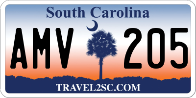 SC license plate AMV205