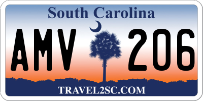 SC license plate AMV206