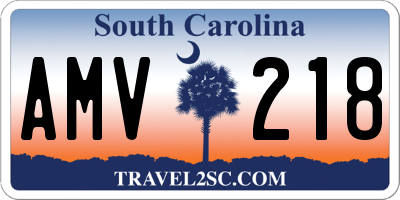 SC license plate AMV218