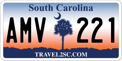 SC license plate AMV221