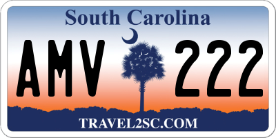 SC license plate AMV222