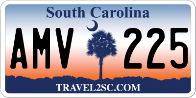 SC license plate AMV225