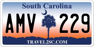 SC license plate AMV229
