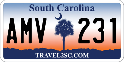 SC license plate AMV231