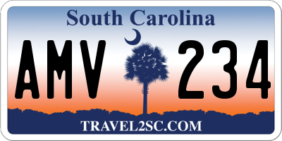 SC license plate AMV234