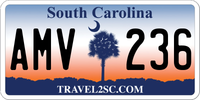 SC license plate AMV236