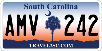 SC license plate AMV242