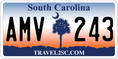 SC license plate AMV243