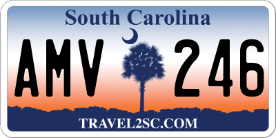 SC license plate AMV246