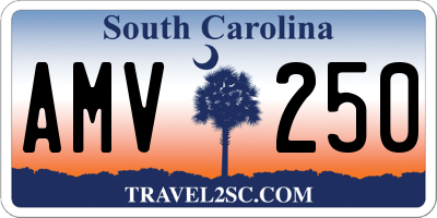 SC license plate AMV250
