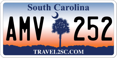 SC license plate AMV252