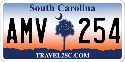 SC license plate AMV254
