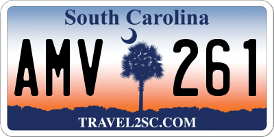 SC license plate AMV261