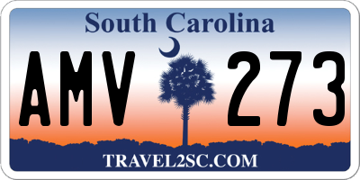 SC license plate AMV273
