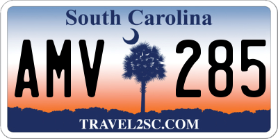 SC license plate AMV285