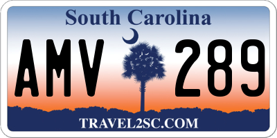 SC license plate AMV289