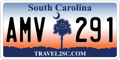 SC license plate AMV291