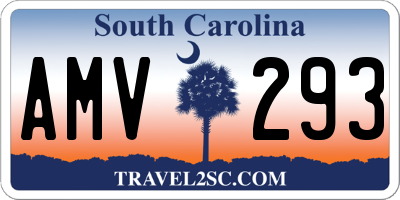 SC license plate AMV293