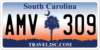 SC license plate AMV309