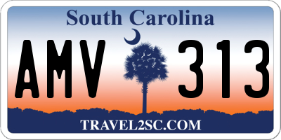 SC license plate AMV313