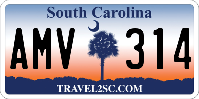 SC license plate AMV314