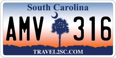 SC license plate AMV316