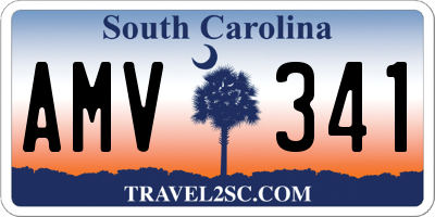 SC license plate AMV341