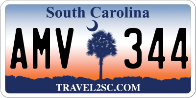 SC license plate AMV344