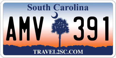 SC license plate AMV391