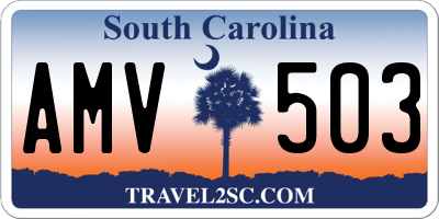 SC license plate AMV503