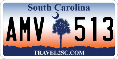 SC license plate AMV513