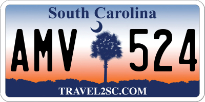 SC license plate AMV524
