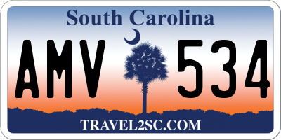 SC license plate AMV534