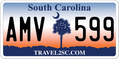 SC license plate AMV599