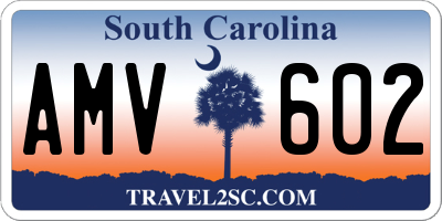 SC license plate AMV602