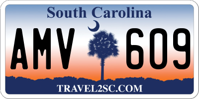 SC license plate AMV609