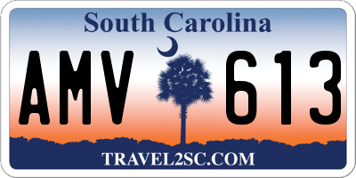 SC license plate AMV613