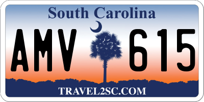 SC license plate AMV615